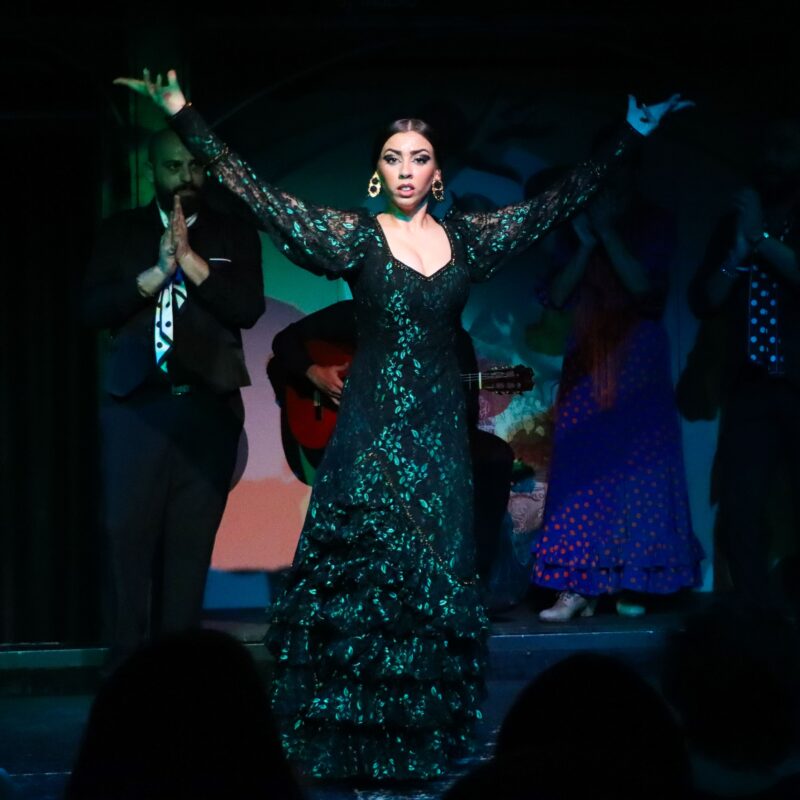 Barcelona’s Must-See Flamenco Shows